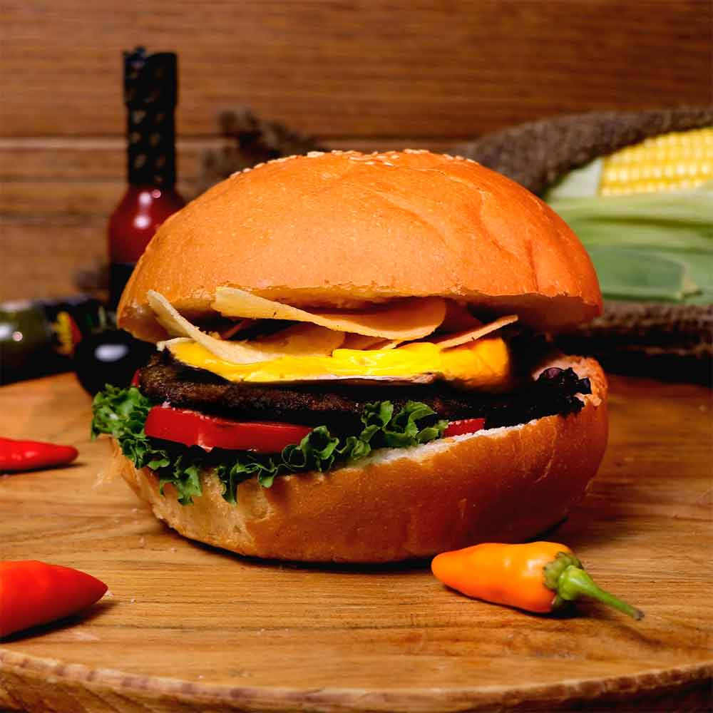  عکس چيزبرگر